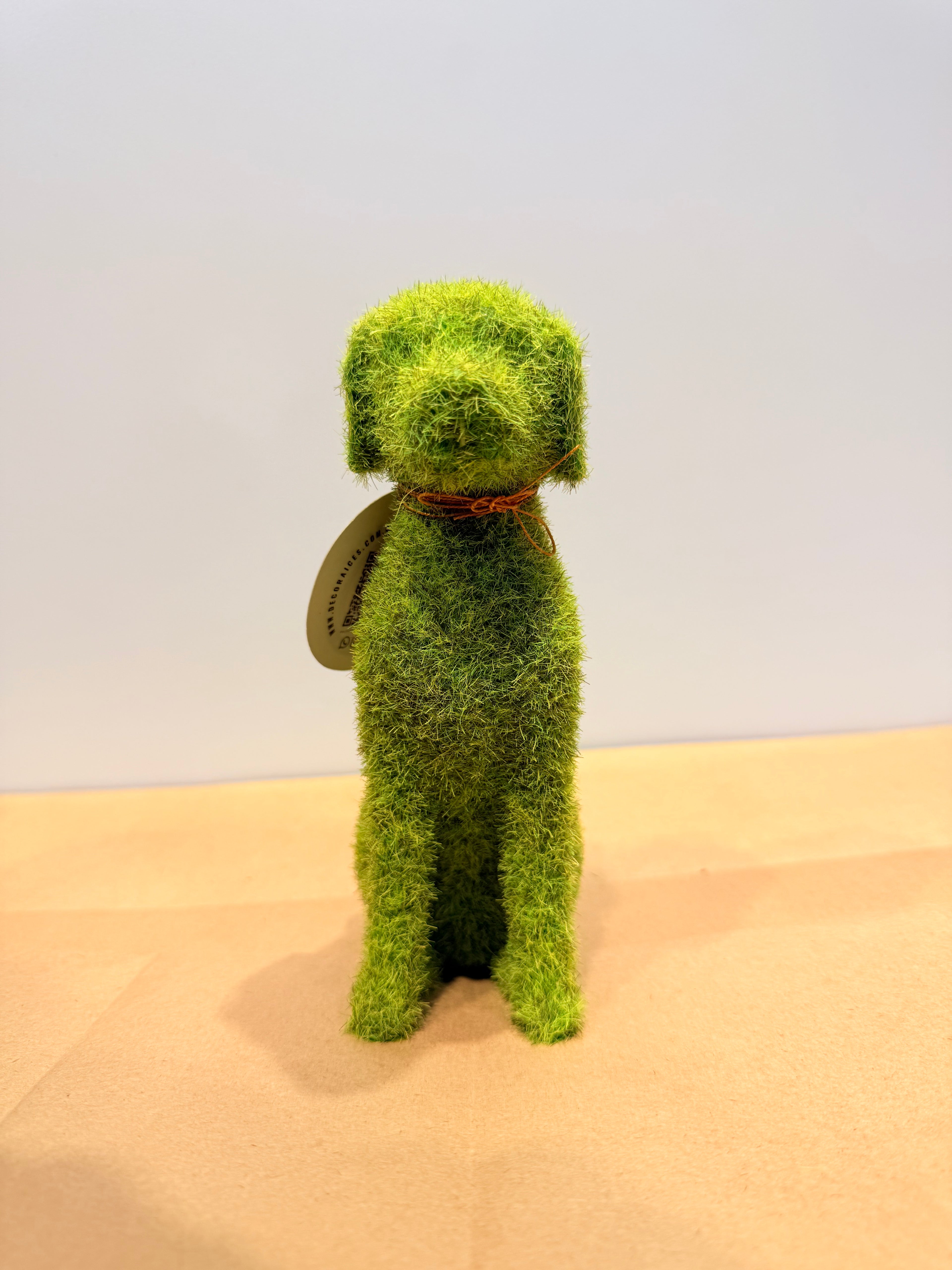 Perro de la protección