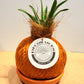 koke Aloe Roca