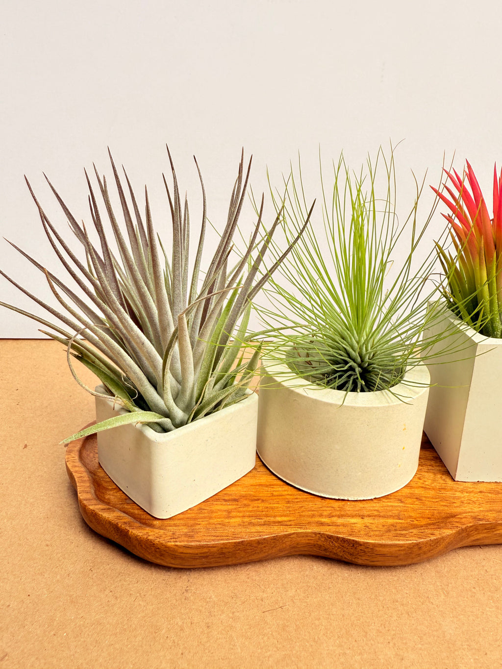 Kit Till. Mini 4x4 + materas + madera