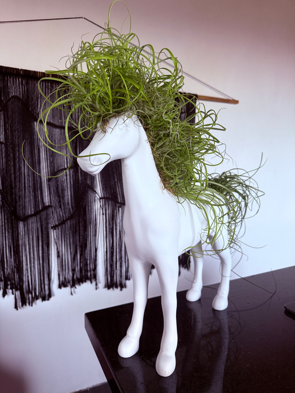 Caballo de la fortaleza 50x60cm(Resina) + plantas + Raíz vital 120 ml