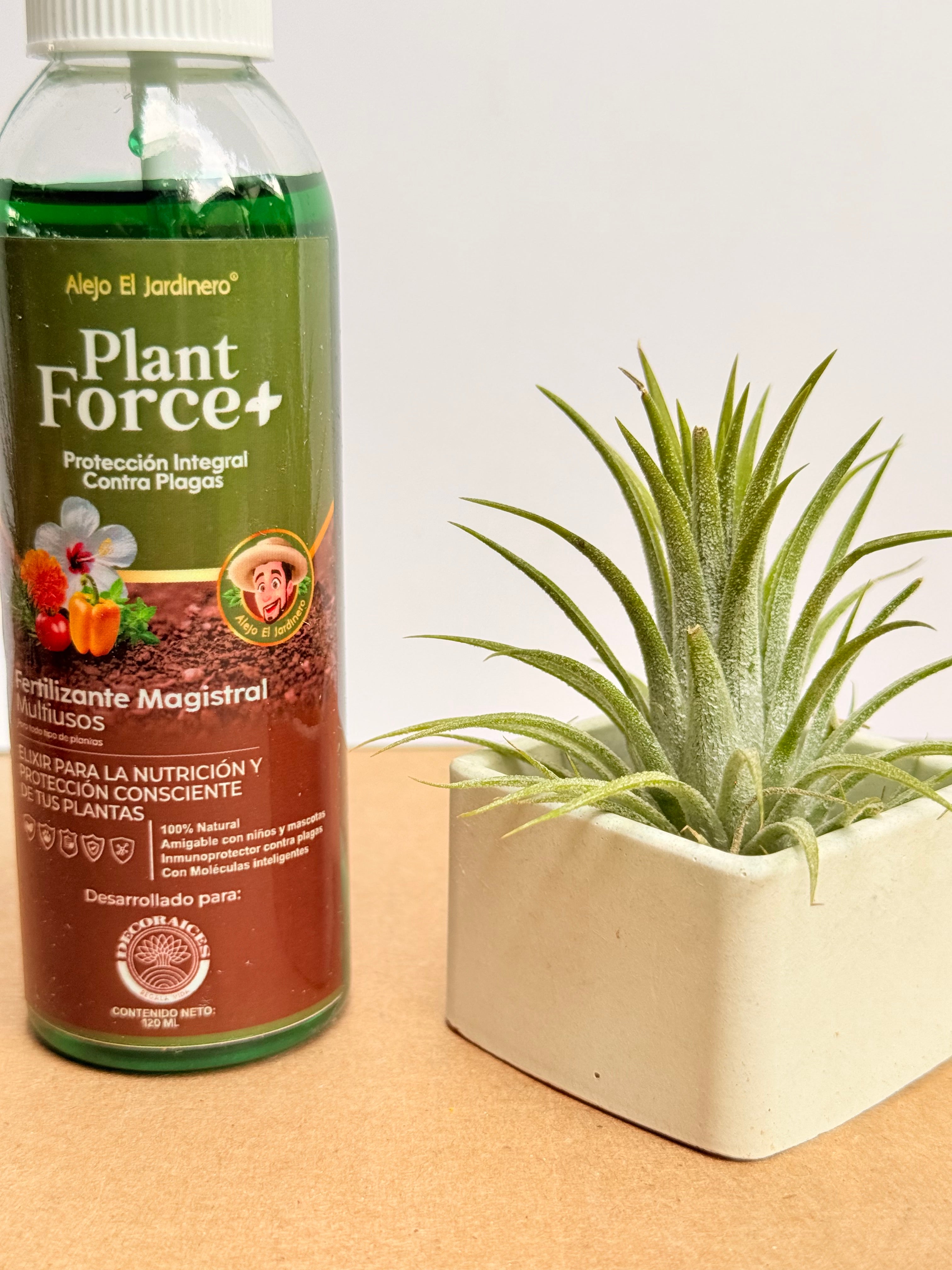 Kit Till. Guatemala x2+ plant force + matera