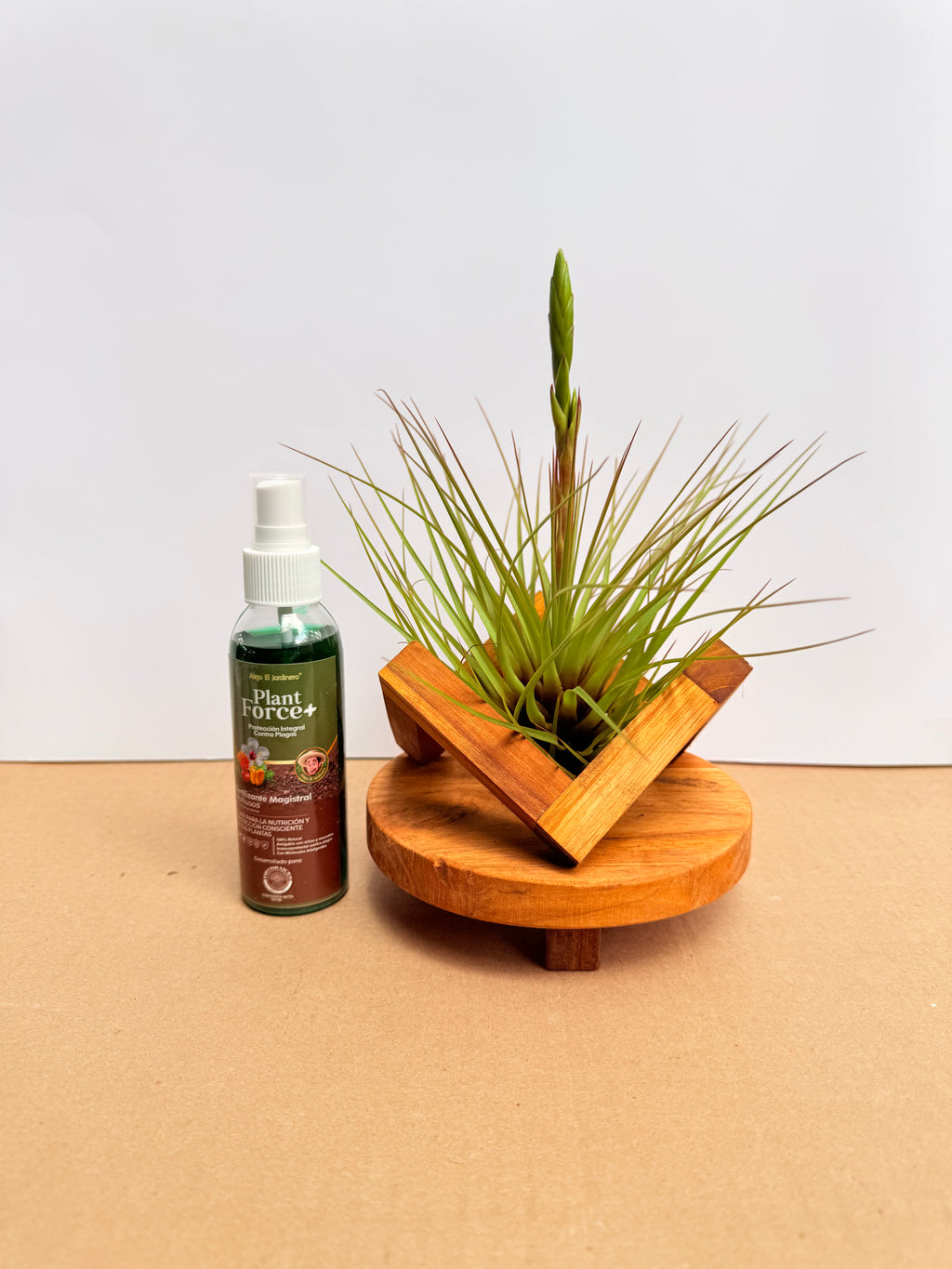 Kit Till. Tricolor + plant force + base madera teca