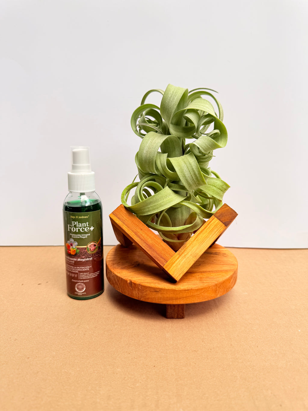 Kit Till. Curly slim M + plant force + base madera teca