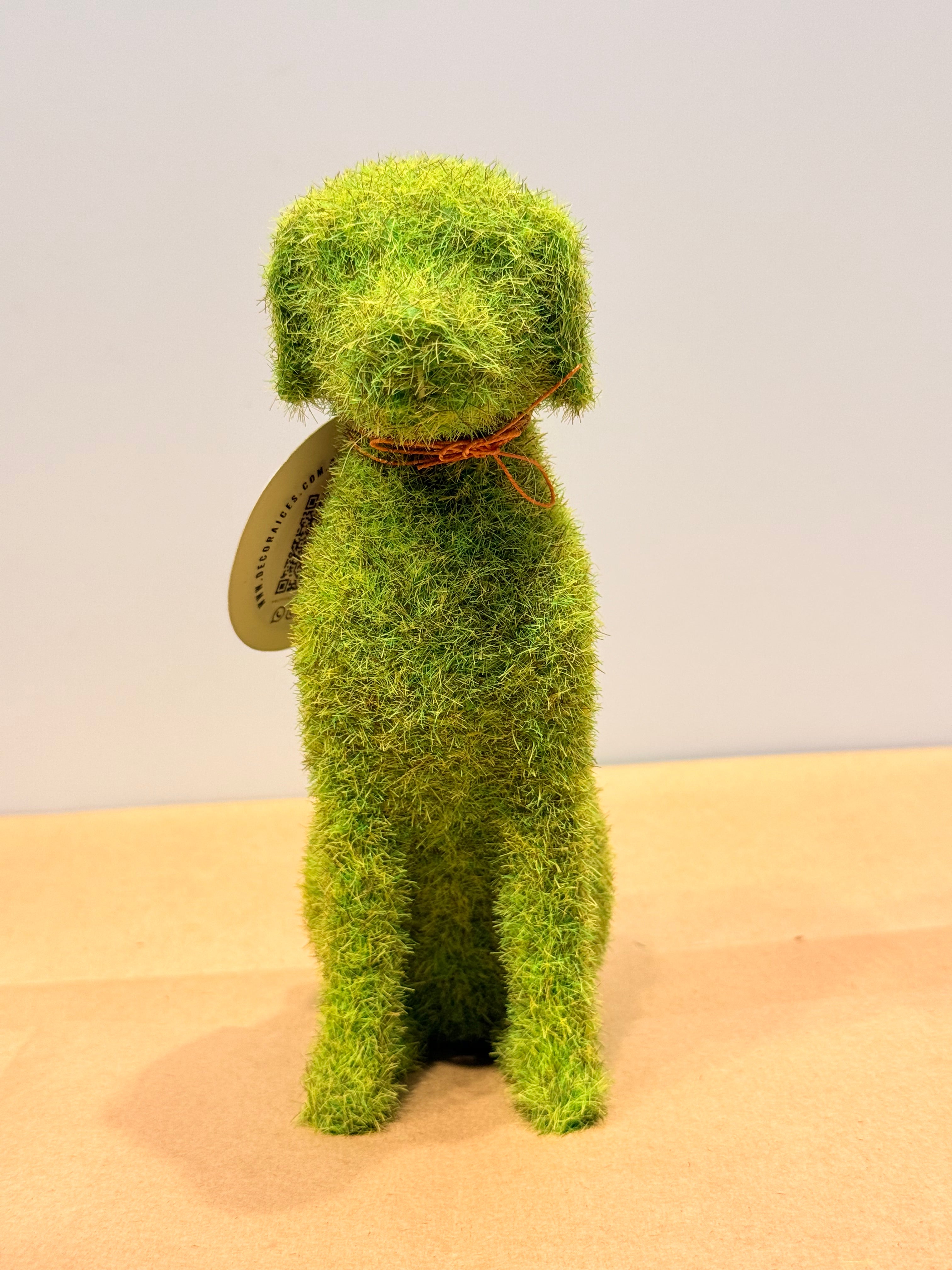 Perro de la protección