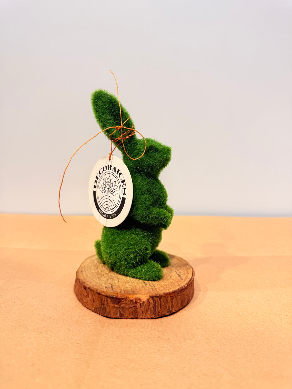 Conejo de la prosperidad mini