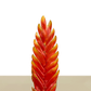 kokedama Vrie. Draco L