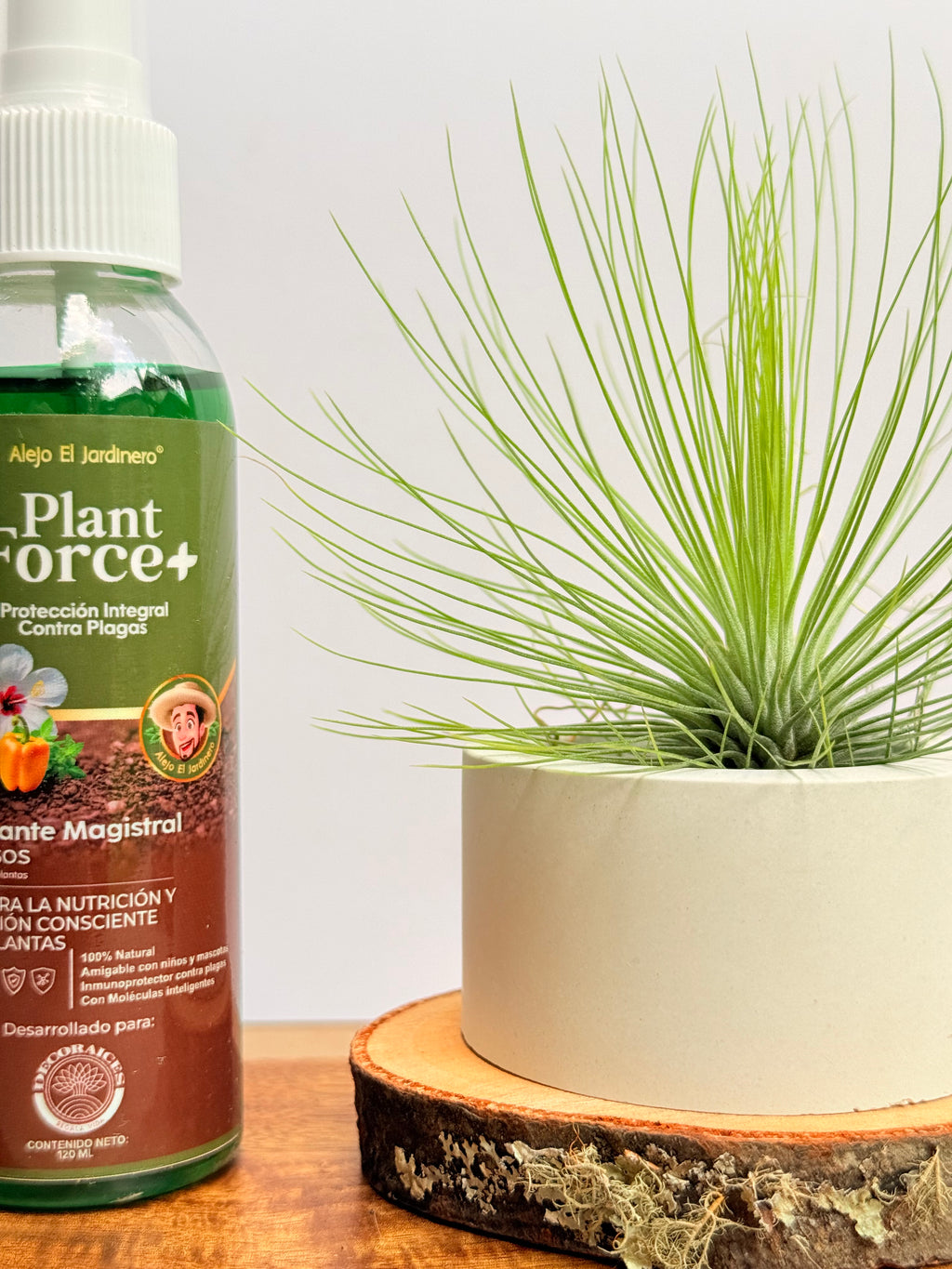 Kit. Till. Andreana M + matera + rodaja + fertilizante