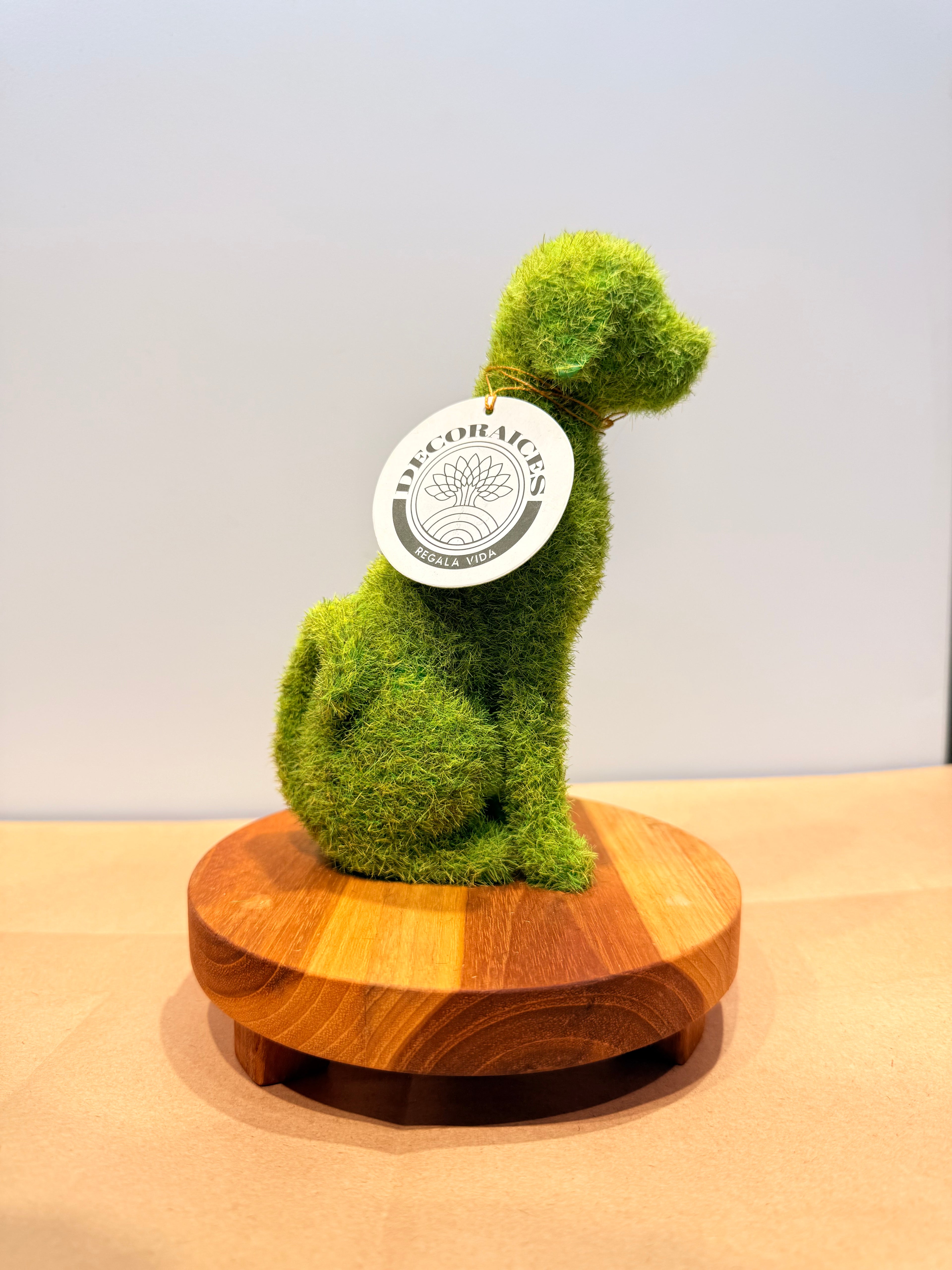 Perro de la protección + base