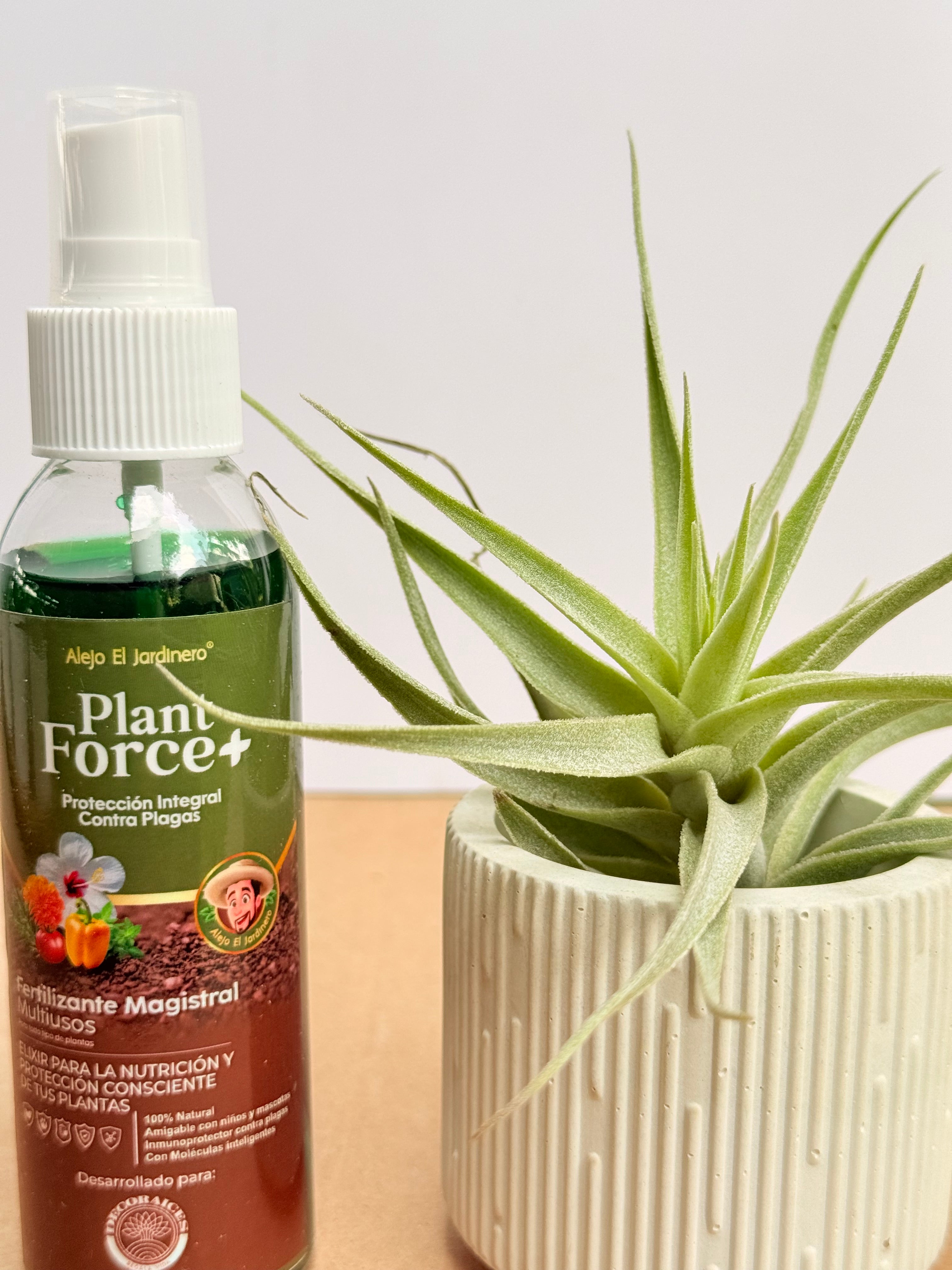 Kit Till. Cacticola xs + plant force + matera