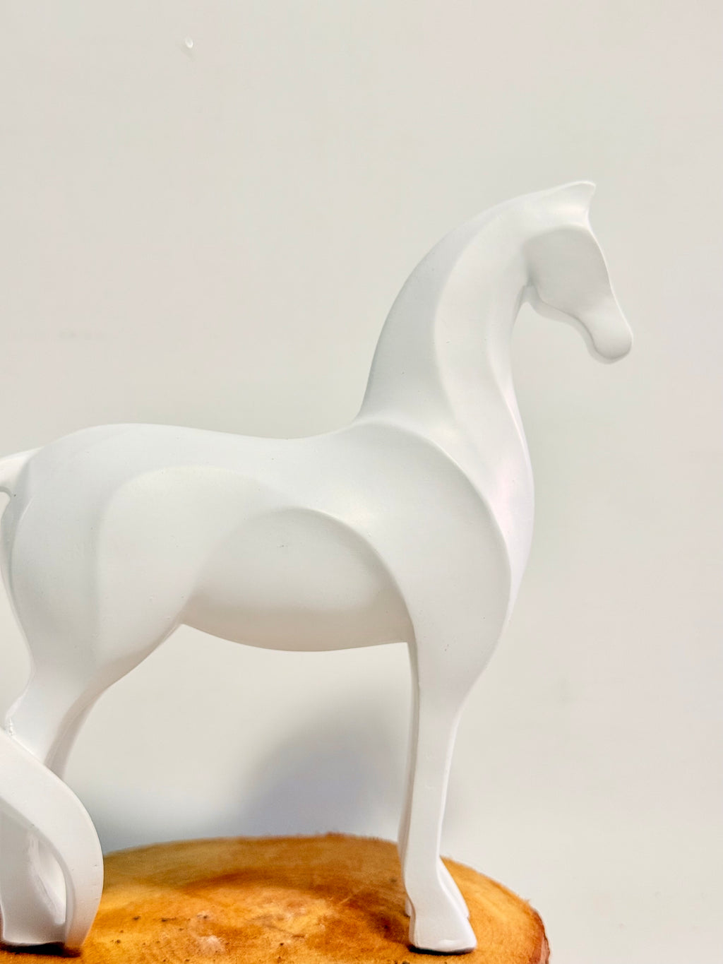 Caballo del éxito + planta
