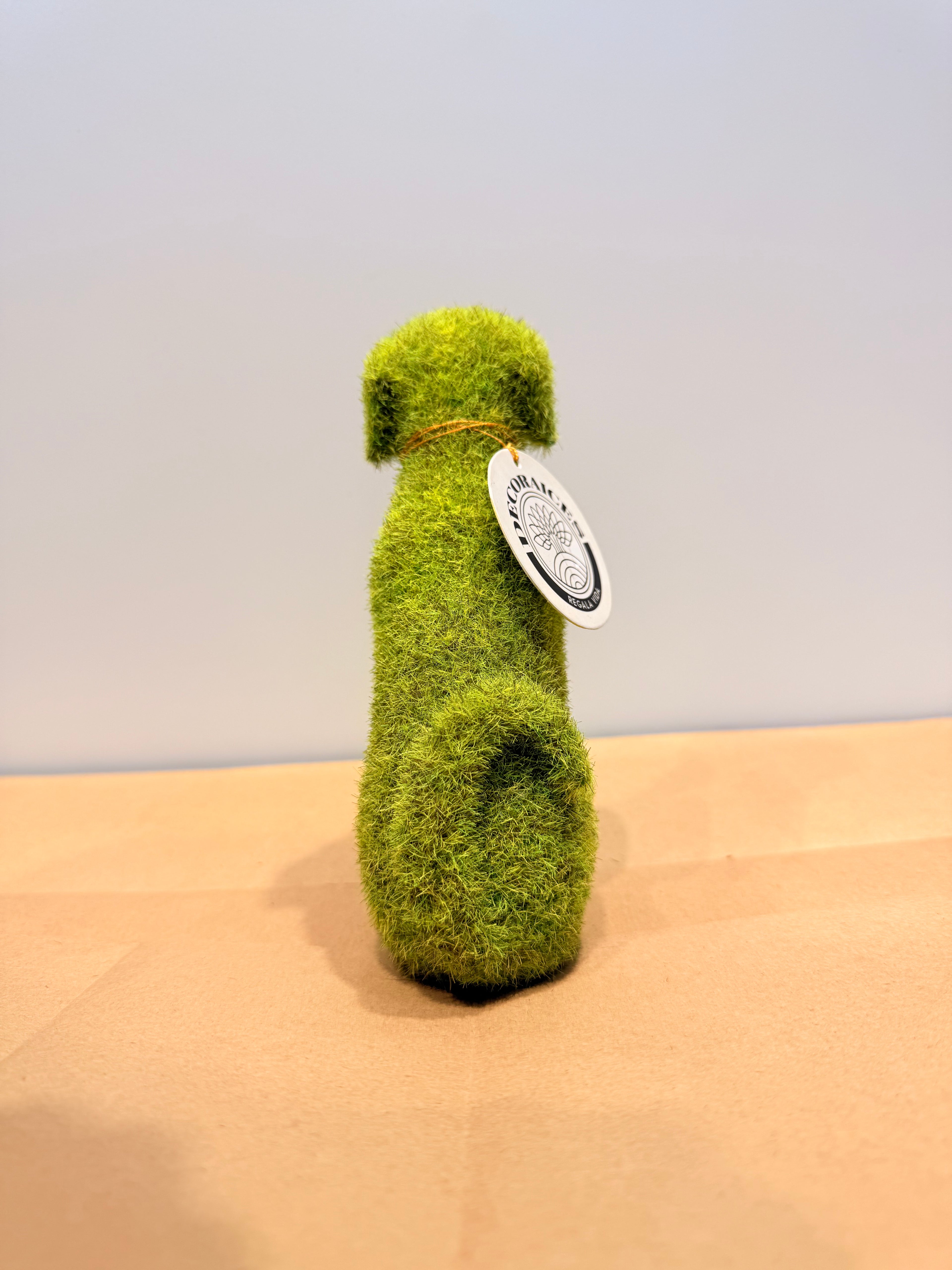 Perro de la protección