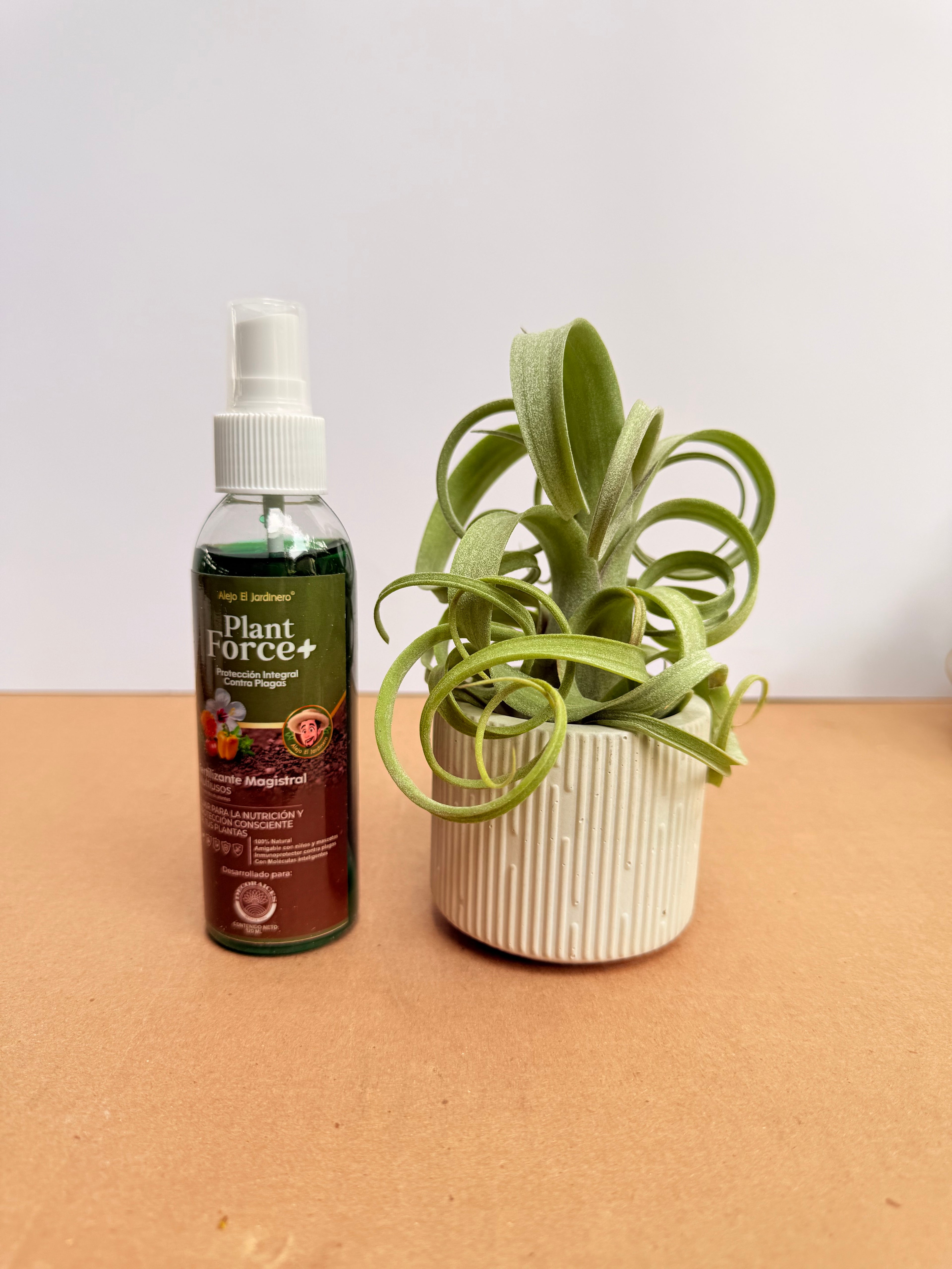 Kit Till. Curly slim s + plant force + matera