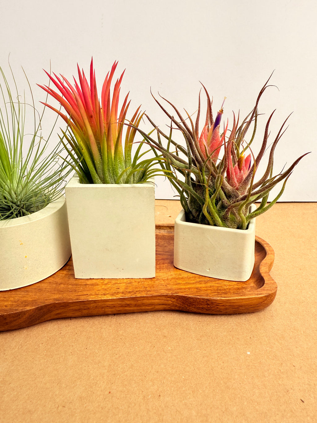 Kit Till. Mini 4x4 + materas + madera