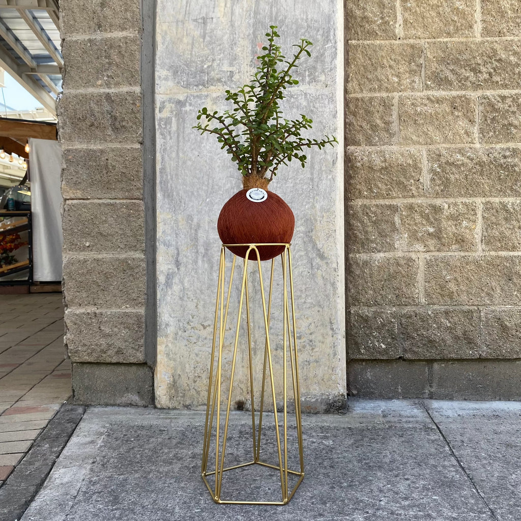 Golden Pentagon Base