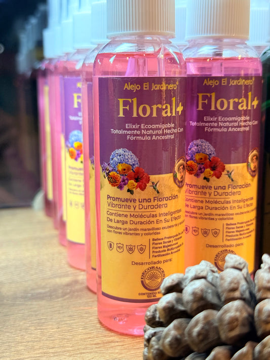 Floral +