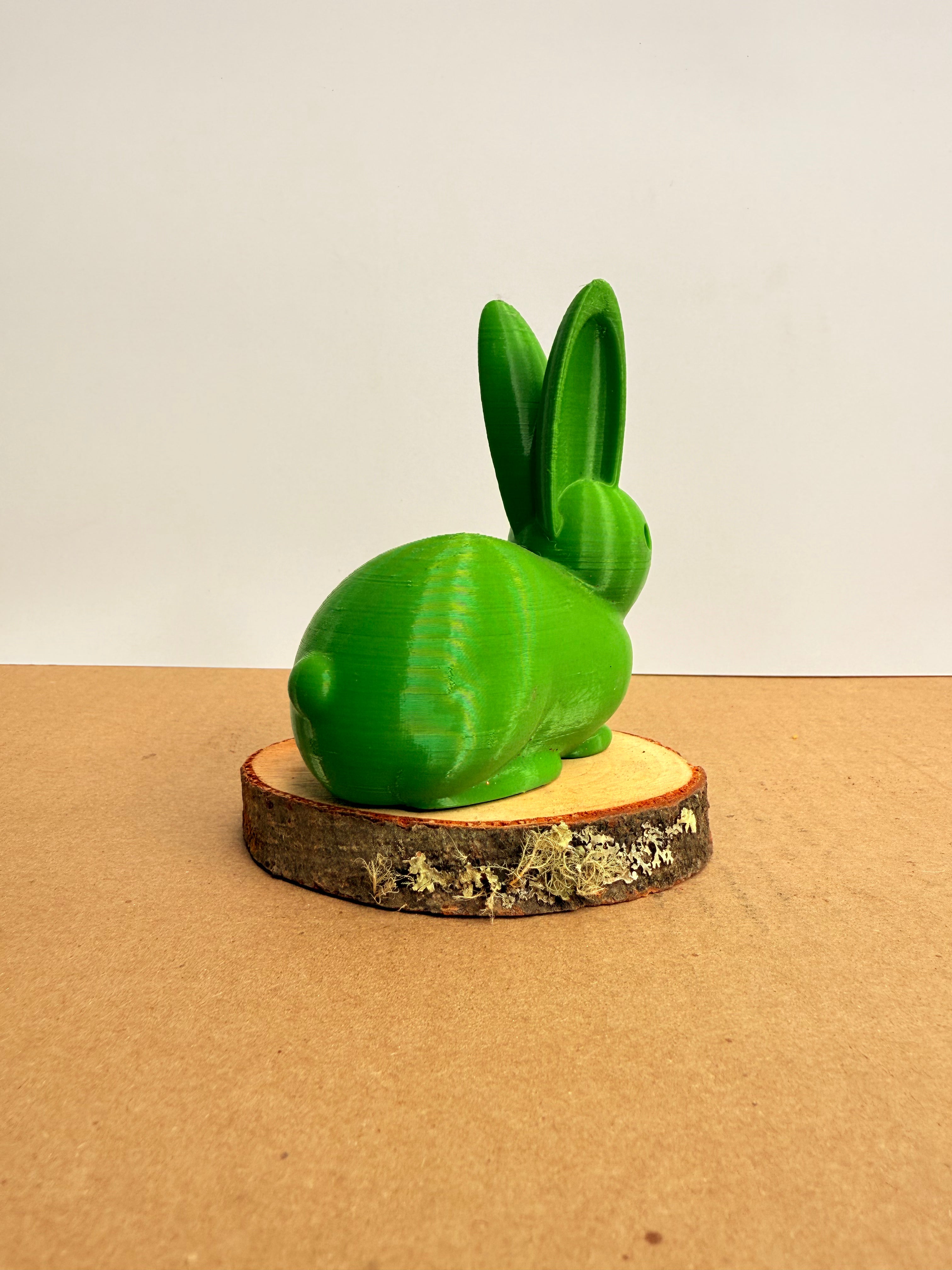 Conejo de la prosperidad mini-mini