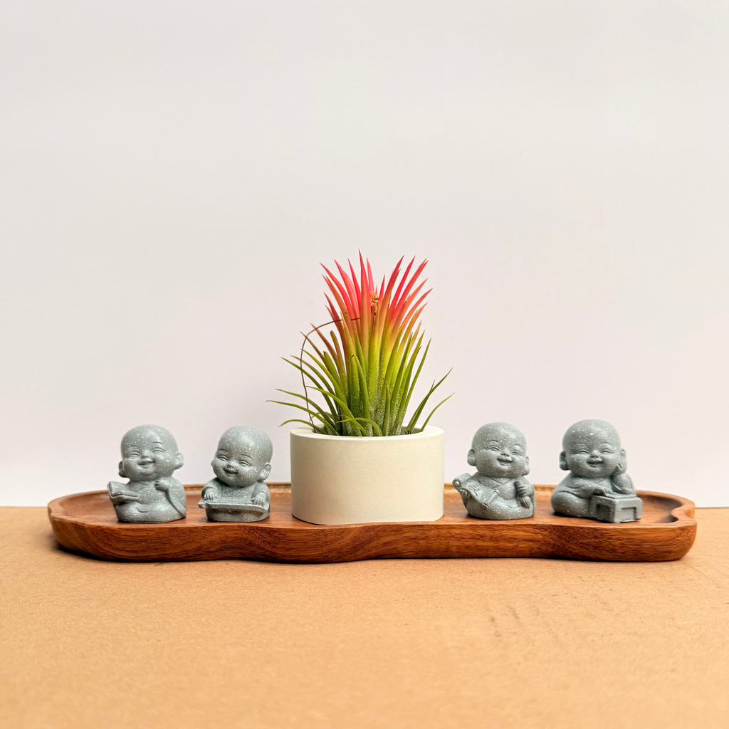 Budas de la sabiduría arreglo Feng Shui