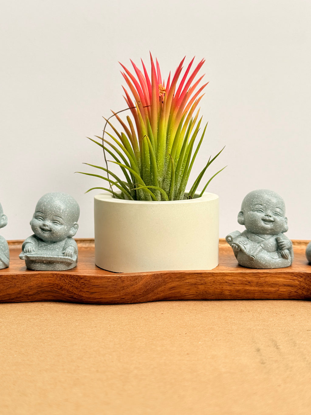 Budas de la sabiduría arreglo Feng Shui