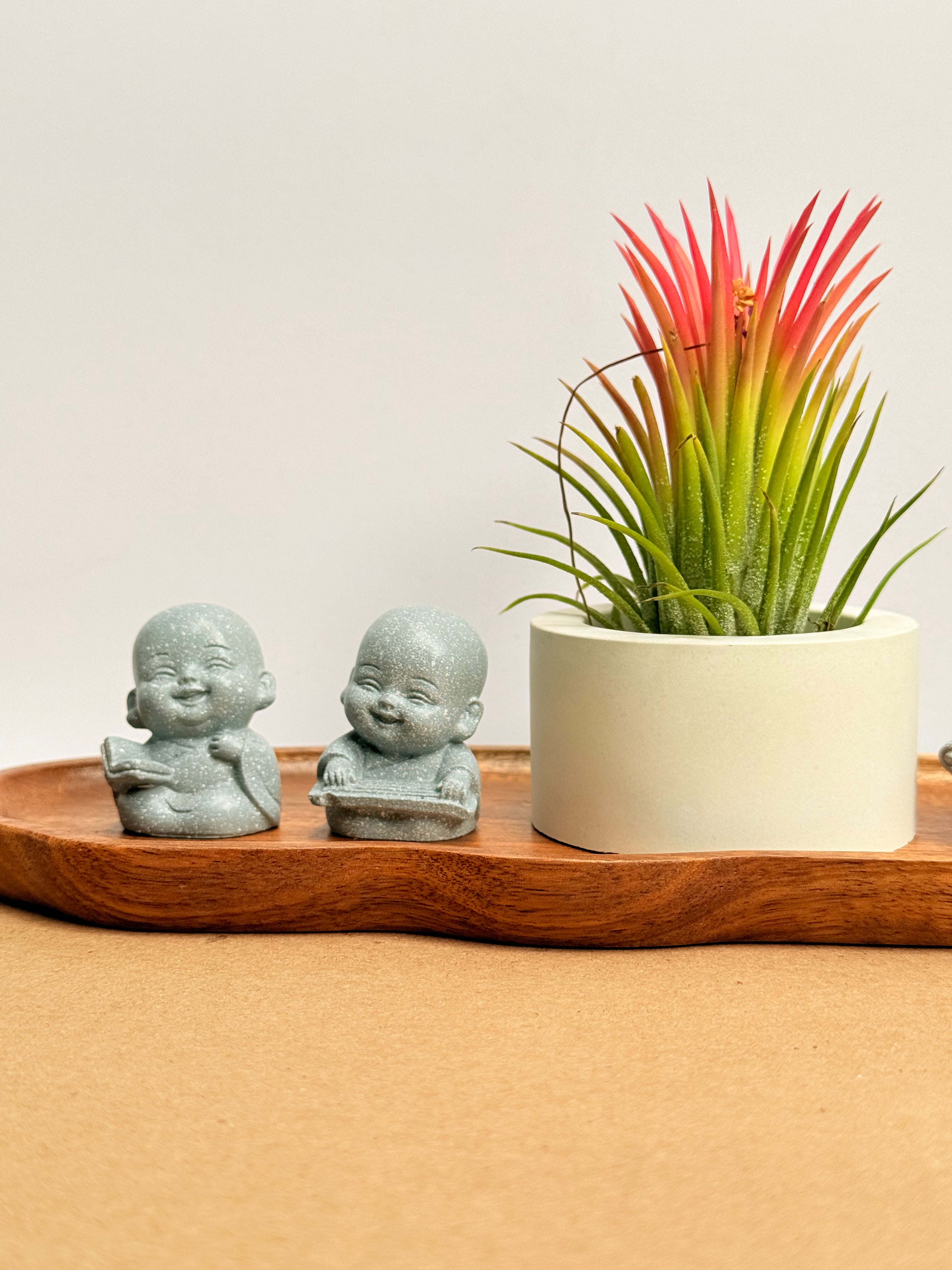 Budas de la sabiduría arreglo Feng Shui