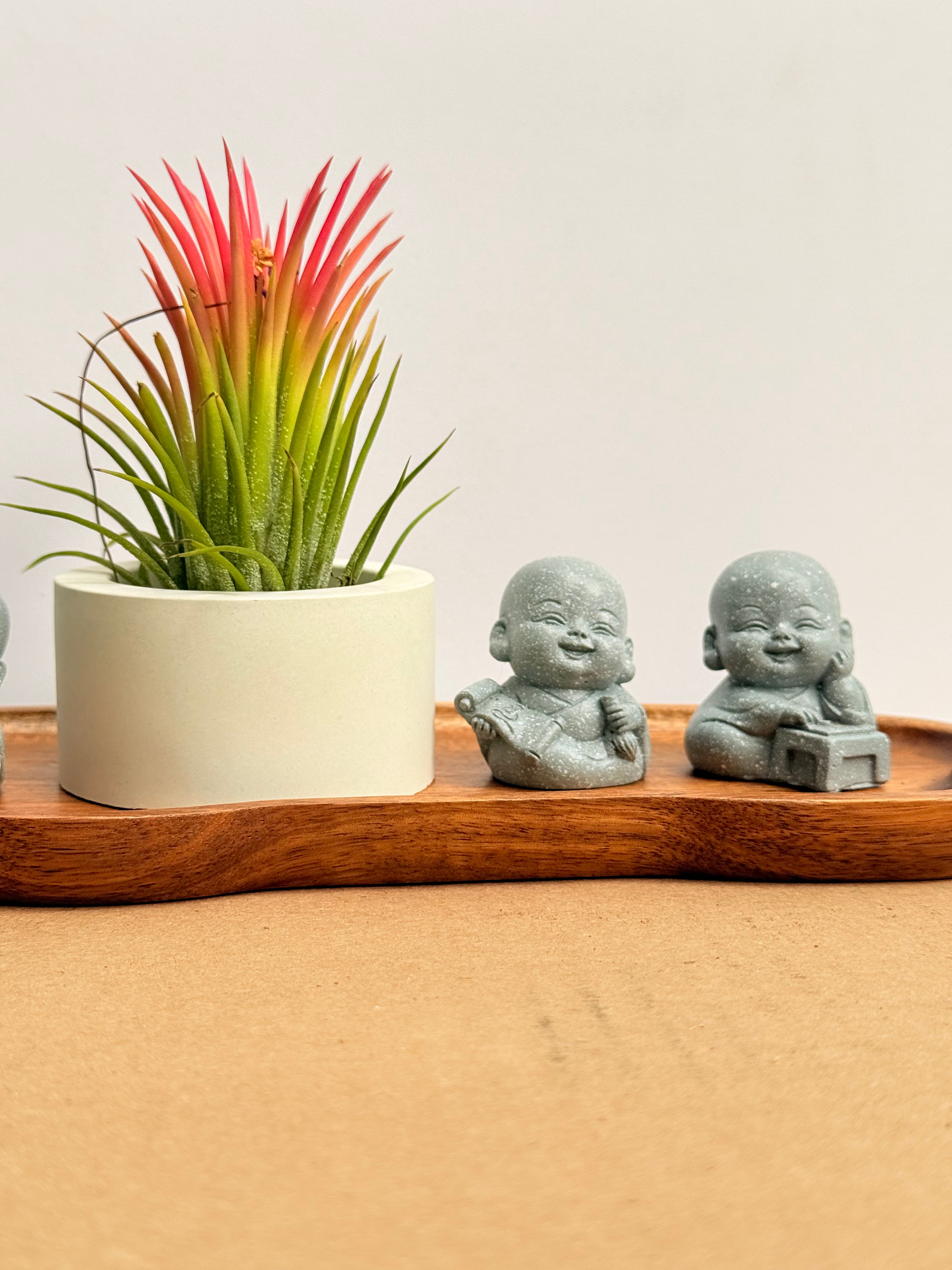 Budas de la sabiduría arreglo Feng Shui