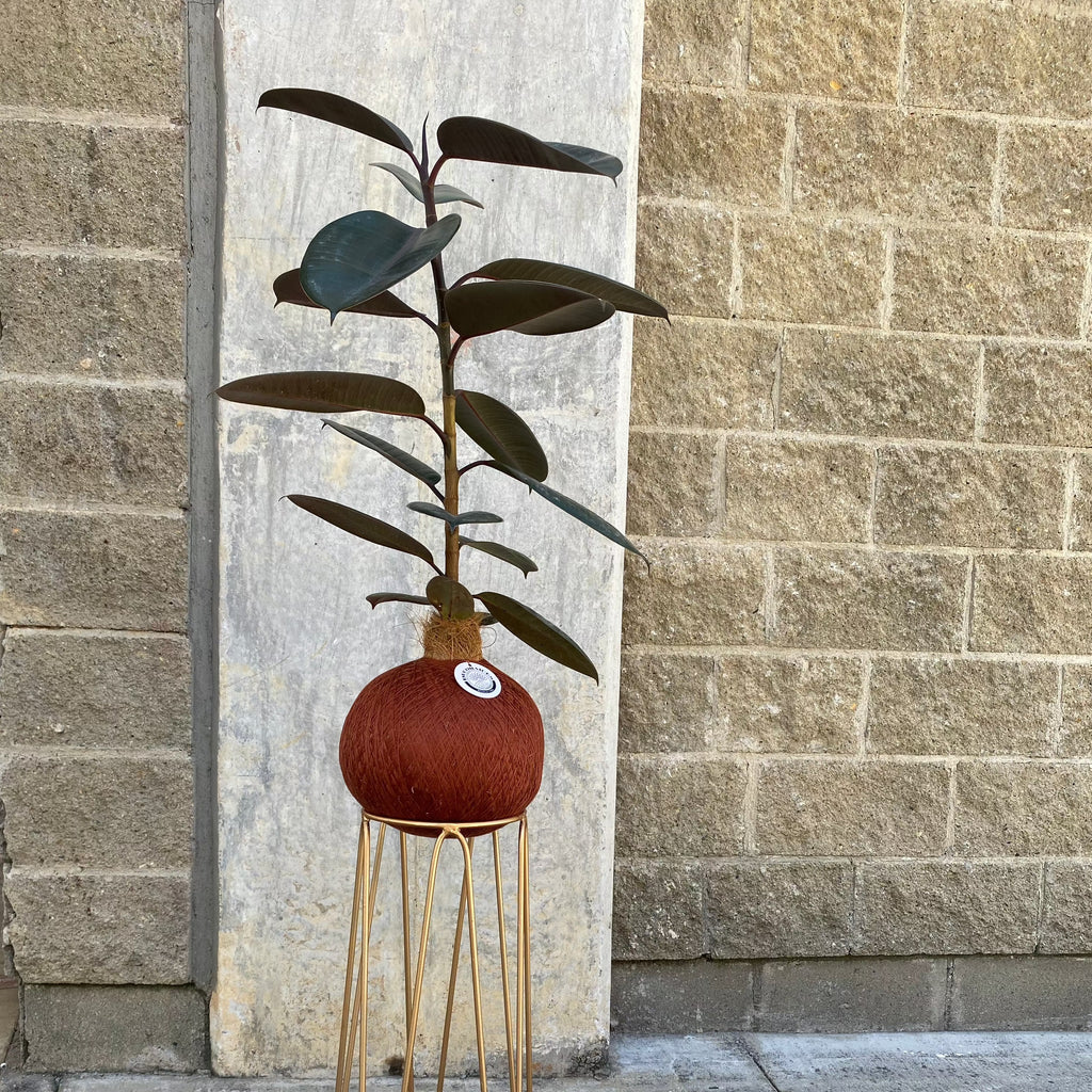 Golden Pentagon Base