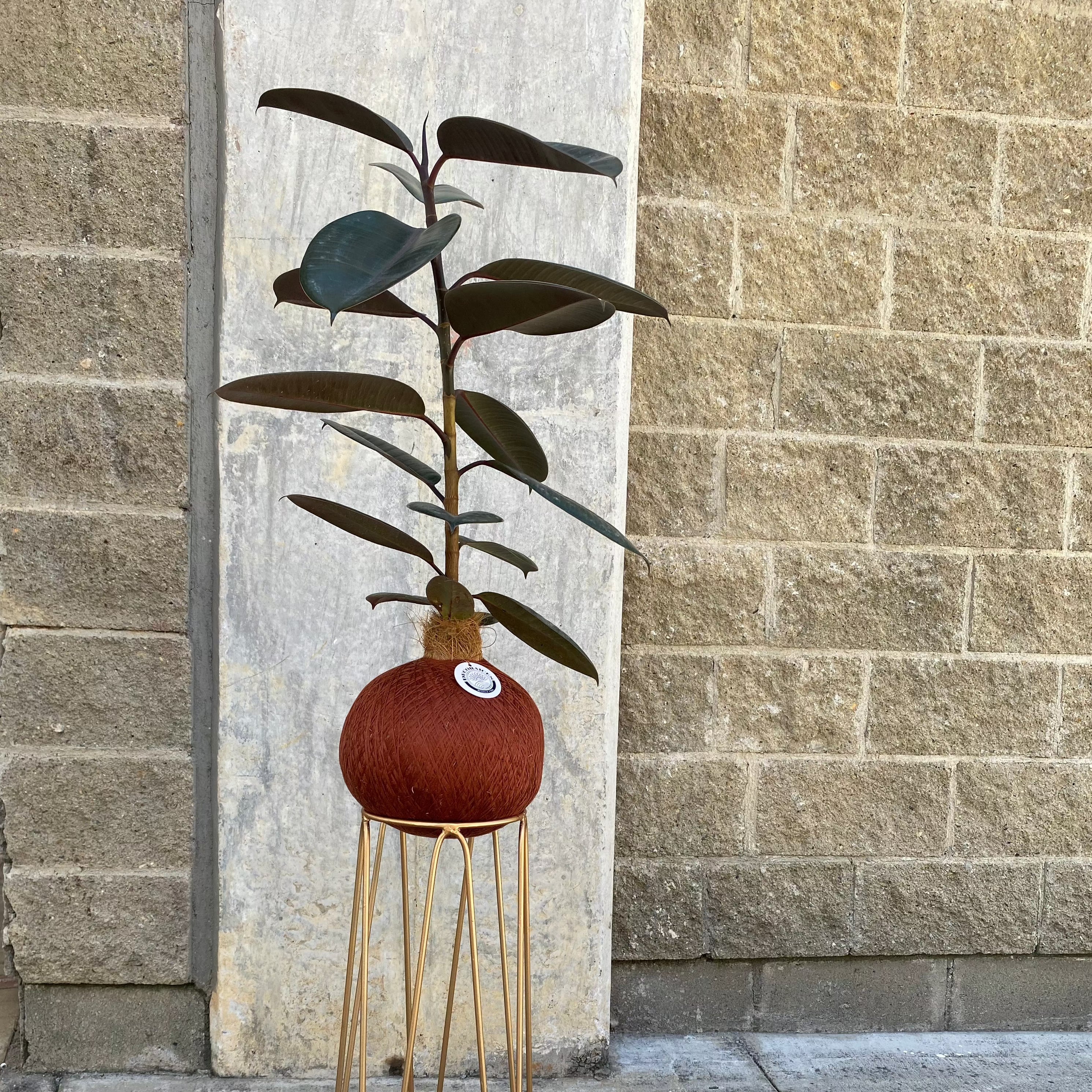 Golden Pentagon Base