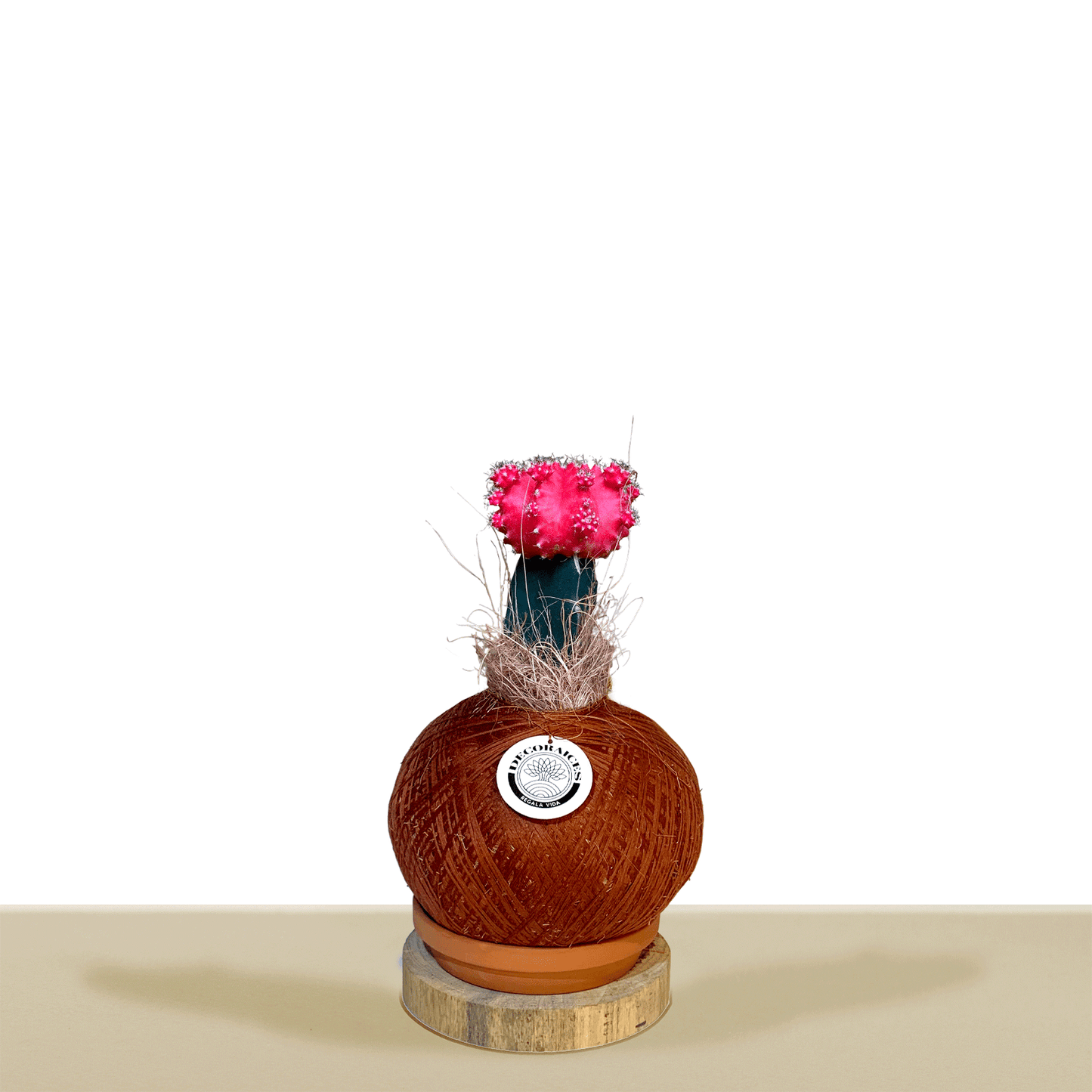 Cactus coreano rojo