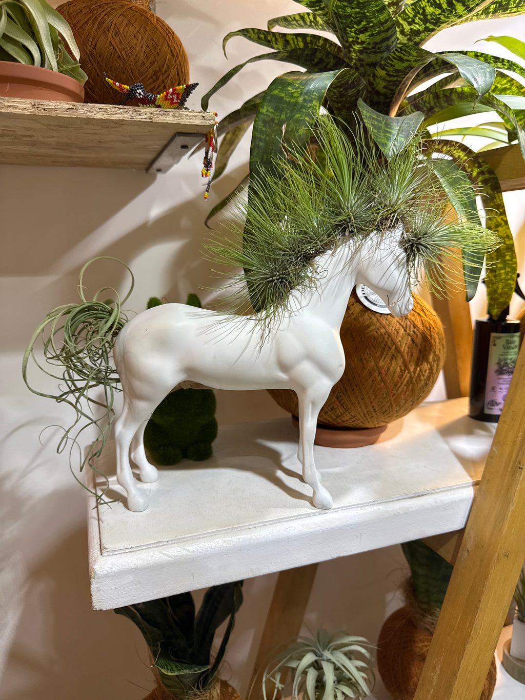 Caballo de la fortaleza 50x60cm(Resina) + plantas + Raíz vital 120 ml
