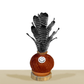 Kokedama Aech. chantinii var purple