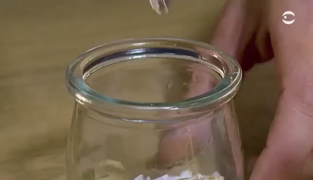 Marimo Moss Ball Ecosistema