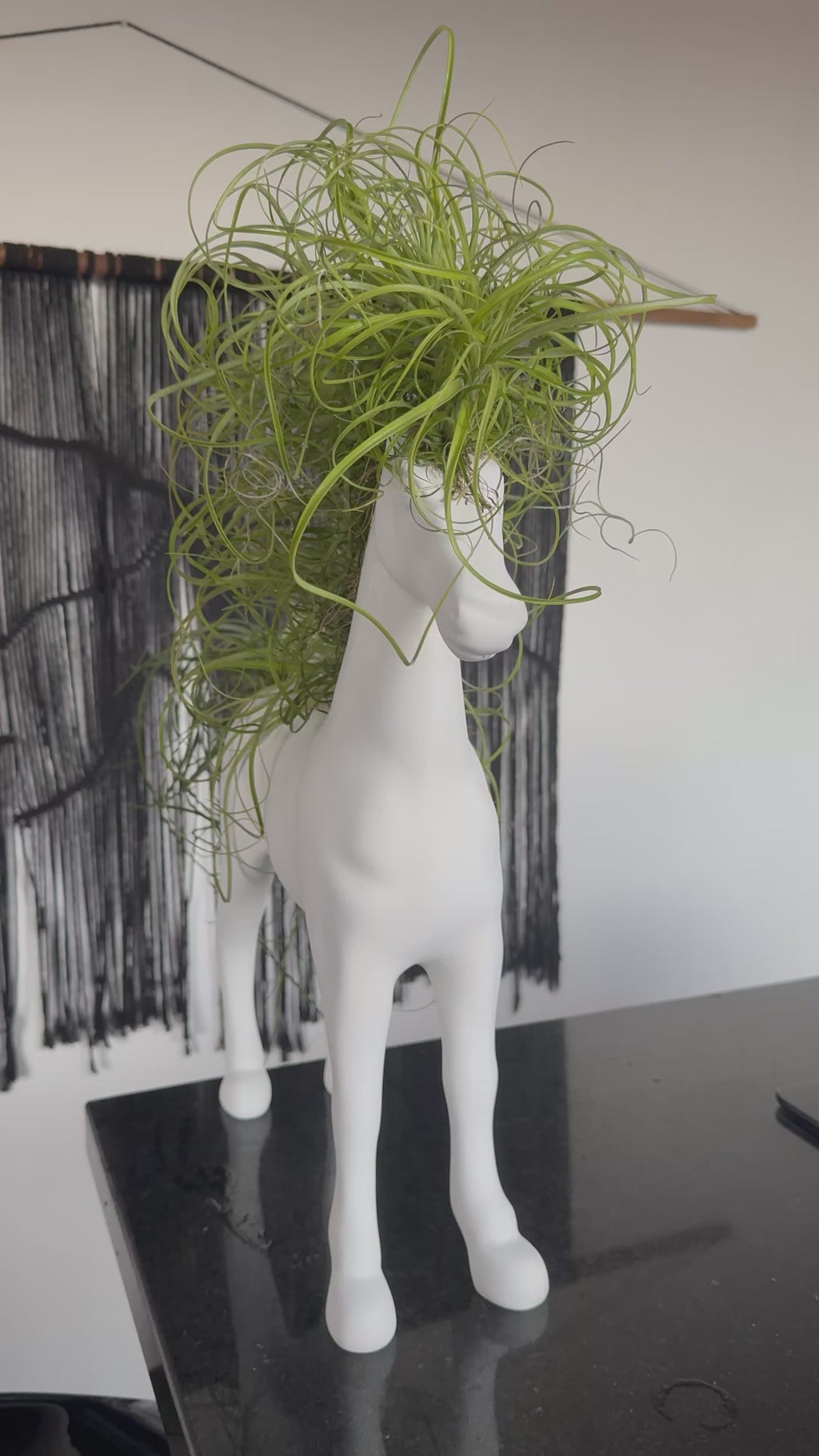 Caballo de la fortaleza 50x60cm(Resina) + plantas + Raíz vital 120 ml